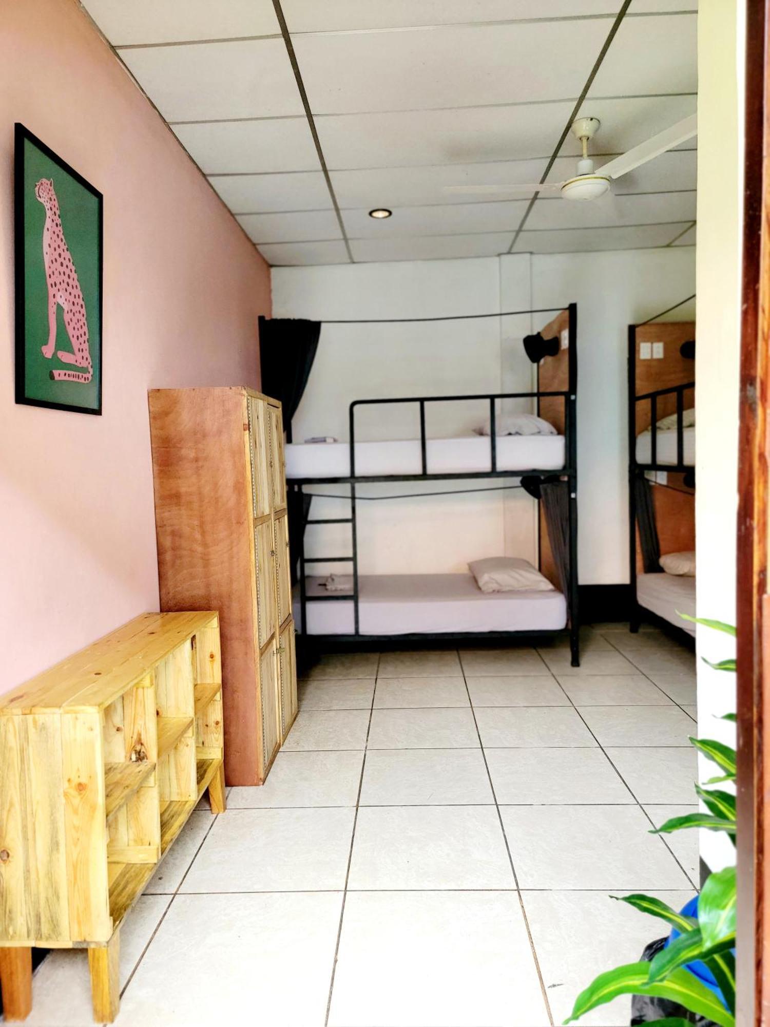 Poco A Poco Hostel León Exteriér fotografie
